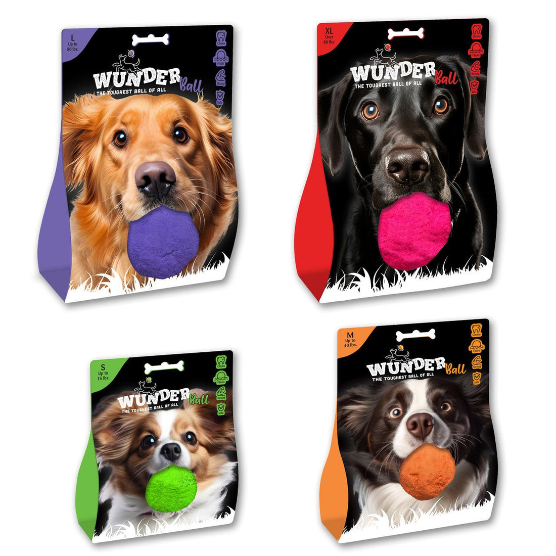 5 Ways to Keep Your Dog Active (and Happy!) This Summer