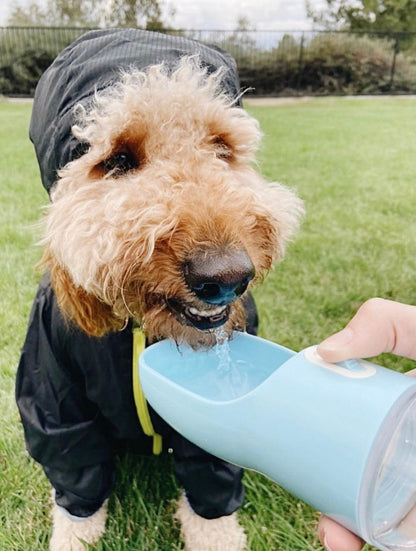 2-in-1 Portable Pet Feeder & Water Bottle