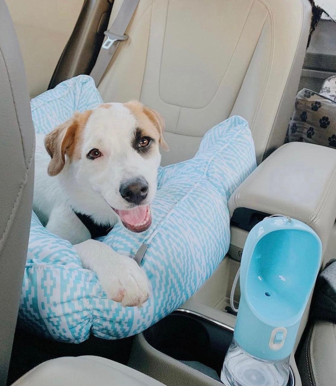 2-in-1 Portable Pet Feeder & Water Bottle
