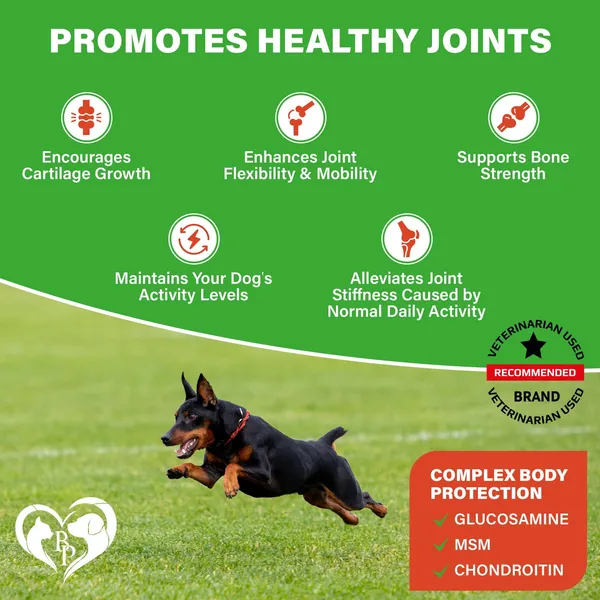 Dog Hip And Joint Supplement Arthritis Pain Relief Treats Glucosamine Chondroiti