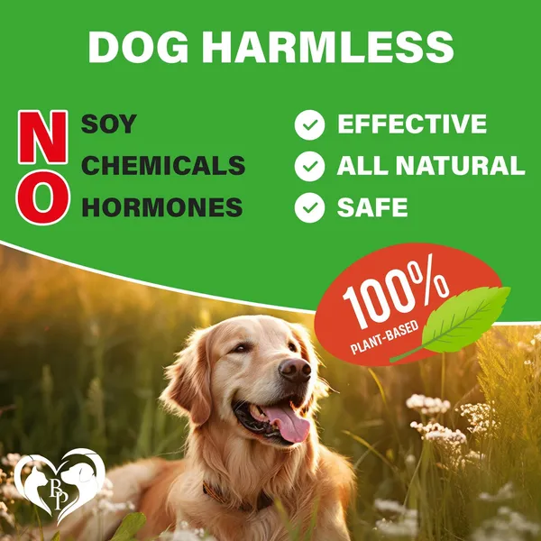 Dog Hip And Joint Supplement Arthritis Pain Relief Treats Glucosamine Chondroiti