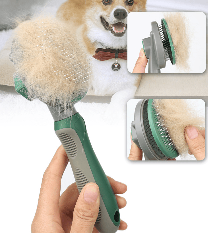 The Hair Whisperer — Automatic Detangling Hair Removal Comb