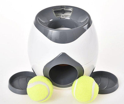 Automatic Pet Training & Feeding System