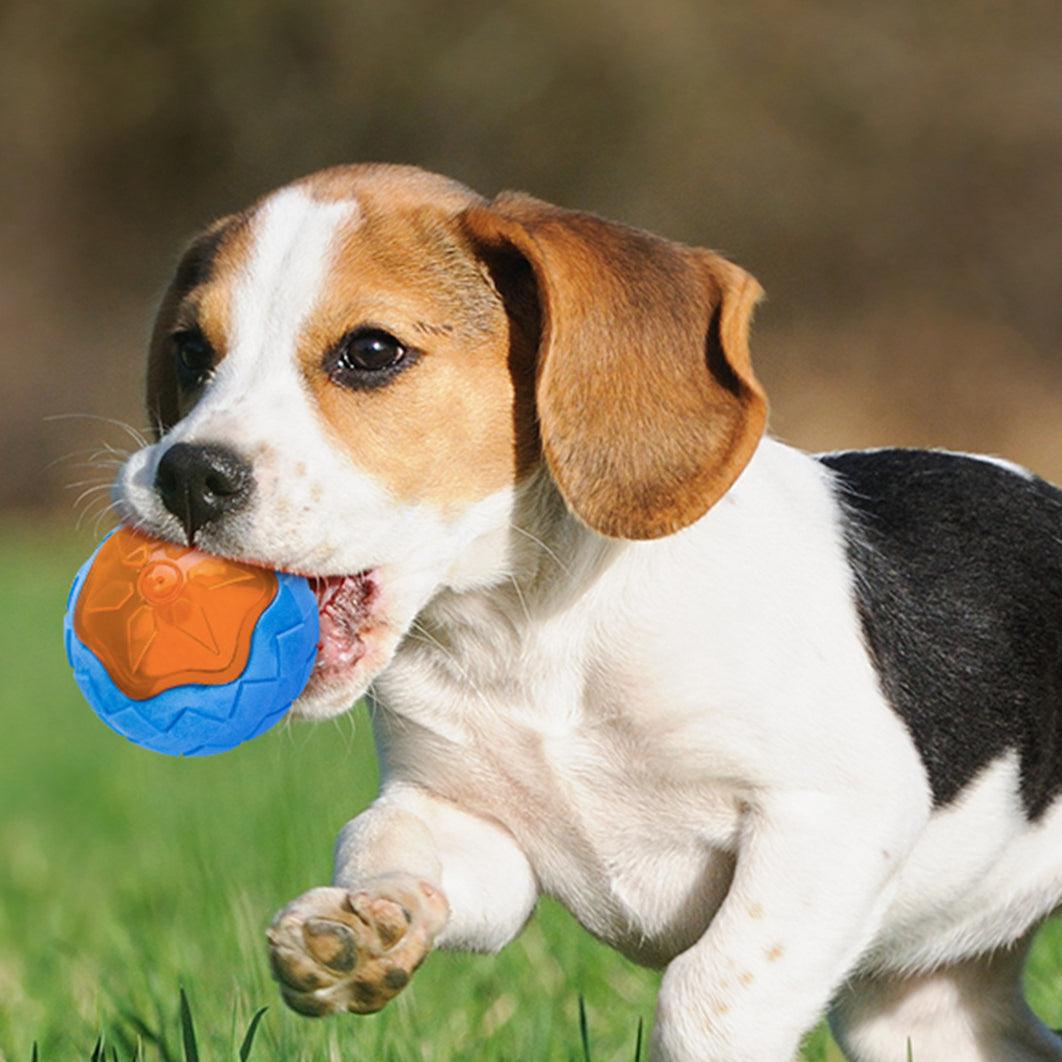 Glow in the Dark Dog Toy Ball – Floatable Fetch & Chew Toy