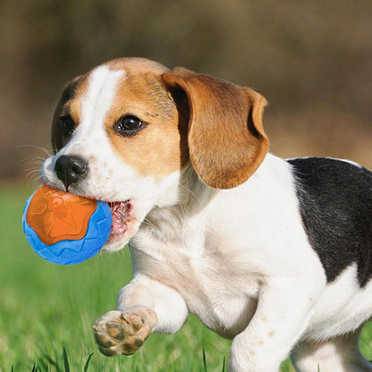 Glow in the Dark Dog Toy Ball – Floatable Fetch & Chew Toy