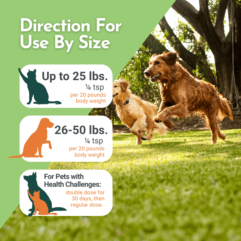 Holistic Total Body Support – Multivitamin & Glandular Support for Dogs and Cats
