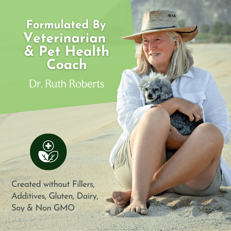 Holistic Total Body Support – Multivitamin & Glandular Support for Dogs and Cats