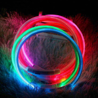 LED Glow Dog Collar – USB Rechargeable Safety Collar with 3 Flash Modes