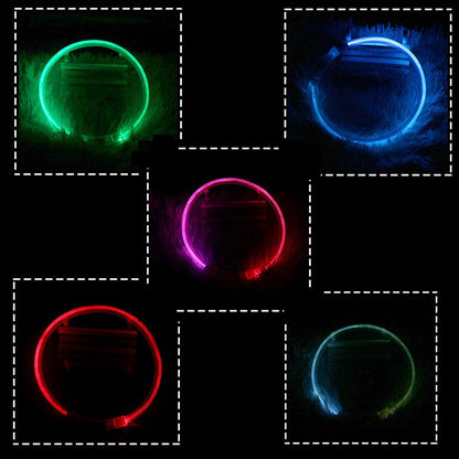 LED Glow Dog Collar – USB Rechargeable Safety Collar with 3 Flash Modes